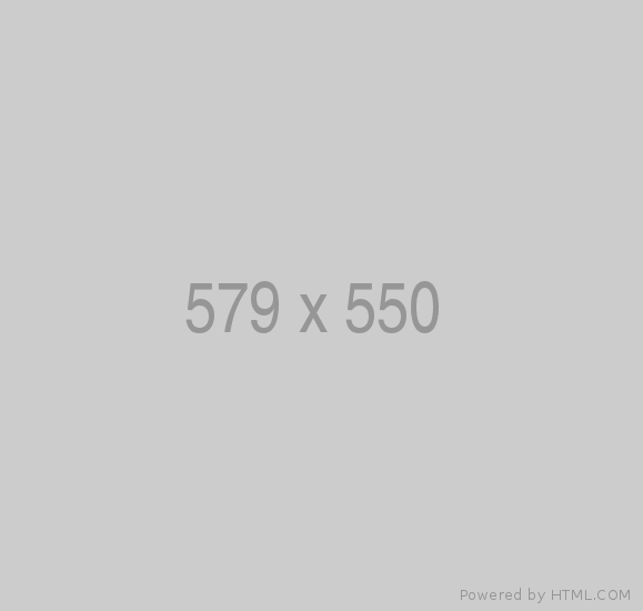 579x550